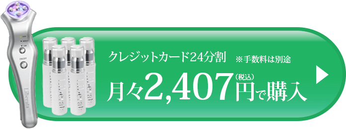 月々2407円で購入