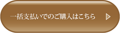 ⼀括⽀払いでのご購⼊はこちら